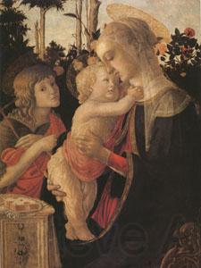 Sandro Botticelli The Virgin and child with John the Baptist (mk05) France oil painting art